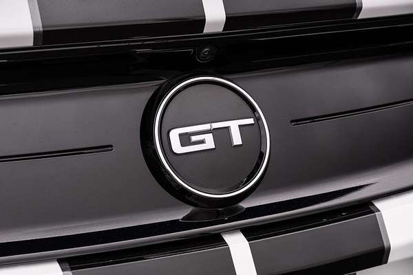 2019 Ford Mustang GT FN