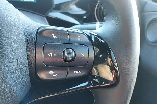 2023 BYD Dolphin Premium