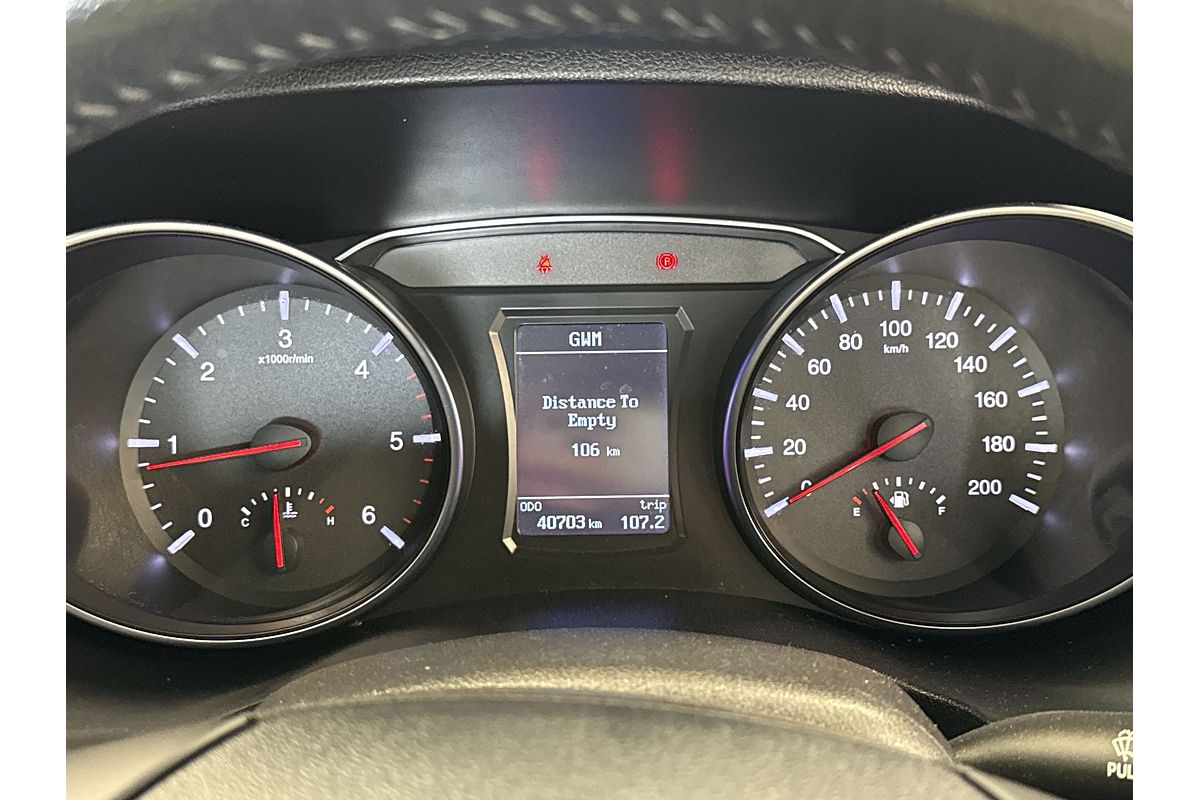 2019 Great Wall Steed NBP Rear Wheel Drive