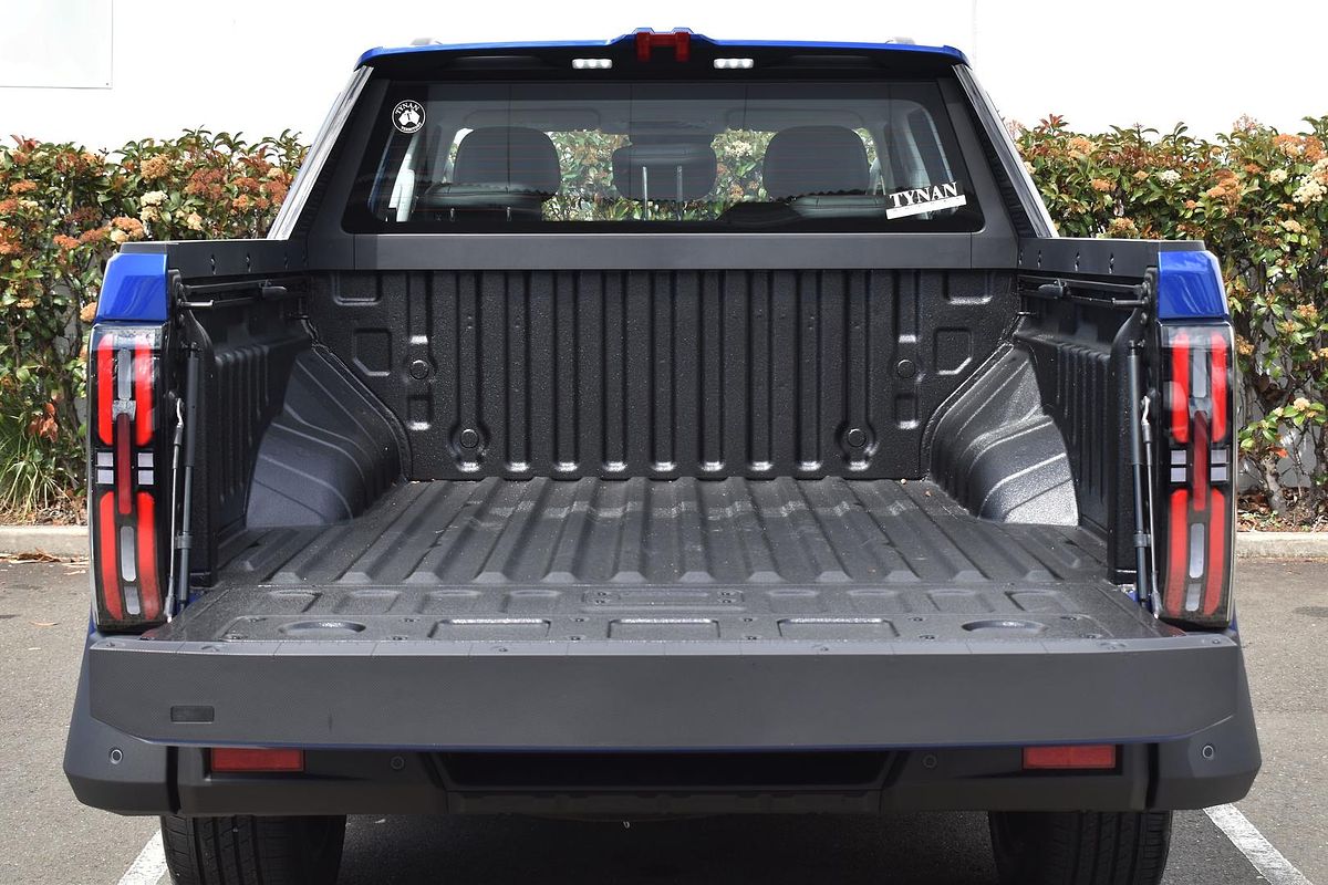 2025 LDV Terron 9 Evolve EKK1C 4X4