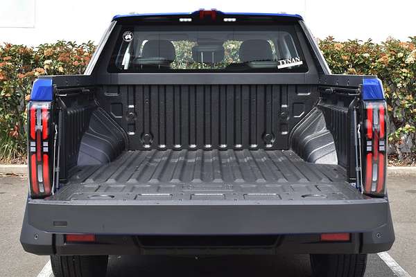 2025 LDV Terron 9 Evolve EKK1C 4X4