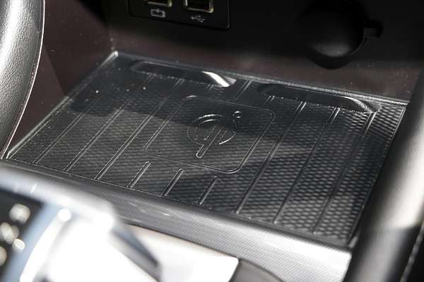 2021 GWM Cannon Plus +