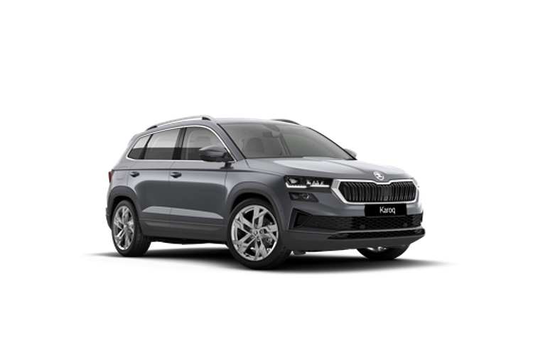 2025 SKODA Karoq 110TSI 130 Years Edition NU