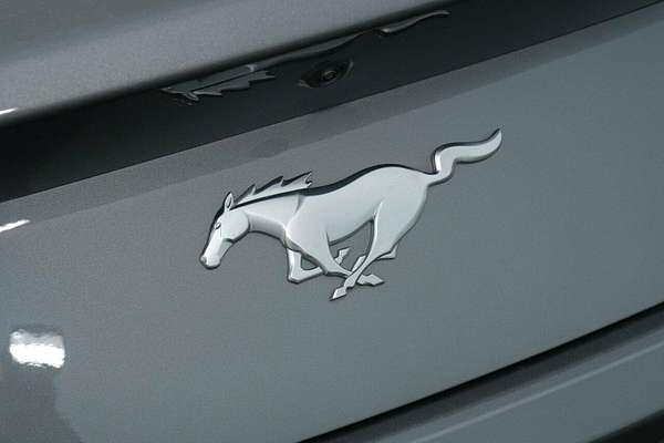 2024 Ford Mustang Ecoboost FO