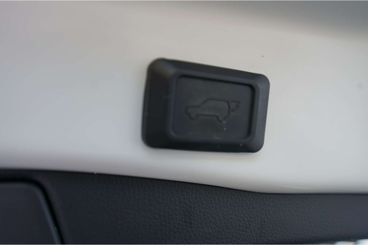 2020 Toyota RAV4 Cruiser AXAH52R