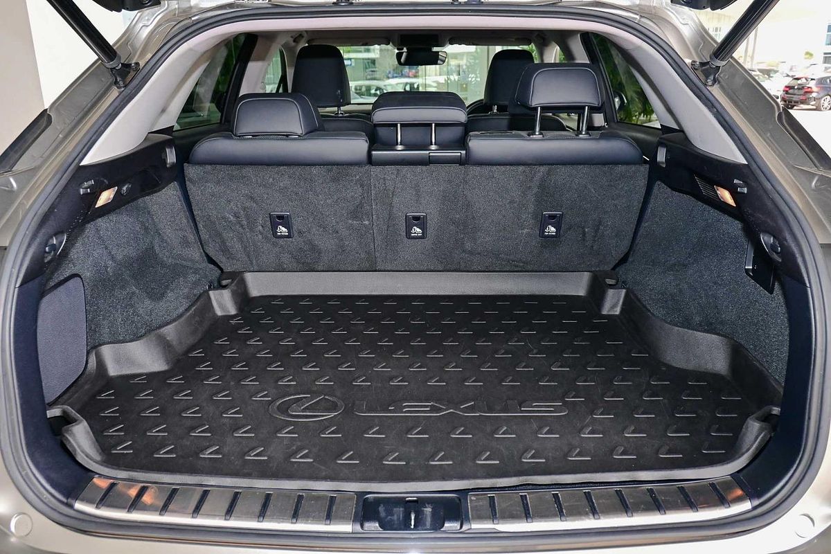 2019 Lexus RX RX300 Luxury AGL20R