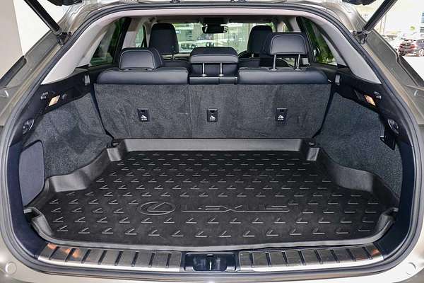 2019 Lexus RX RX300 Luxury AGL20R