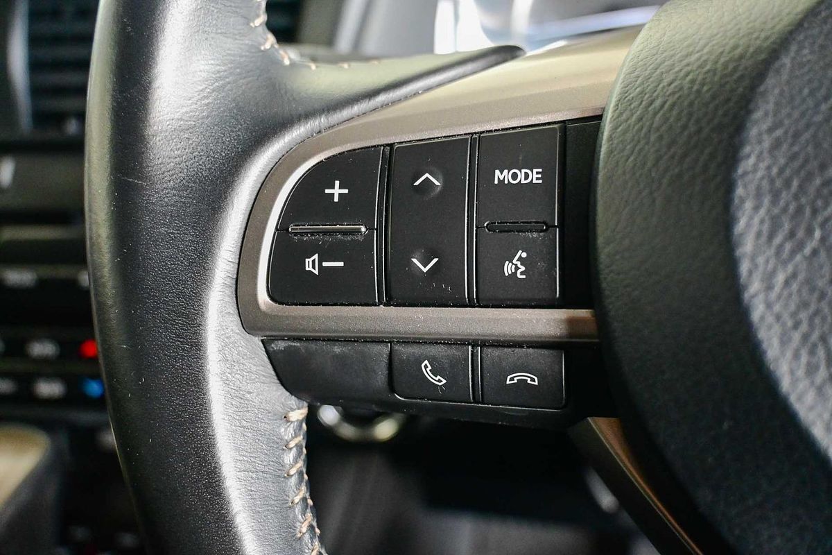 2019 Lexus RX RX300 Luxury AGL20R