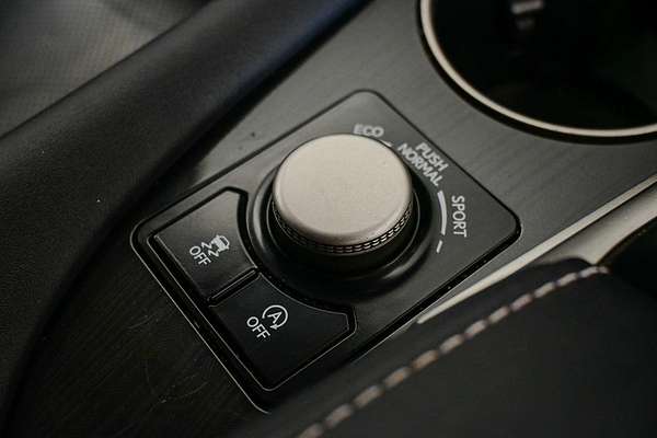 2019 Lexus RX RX300 Luxury AGL20R