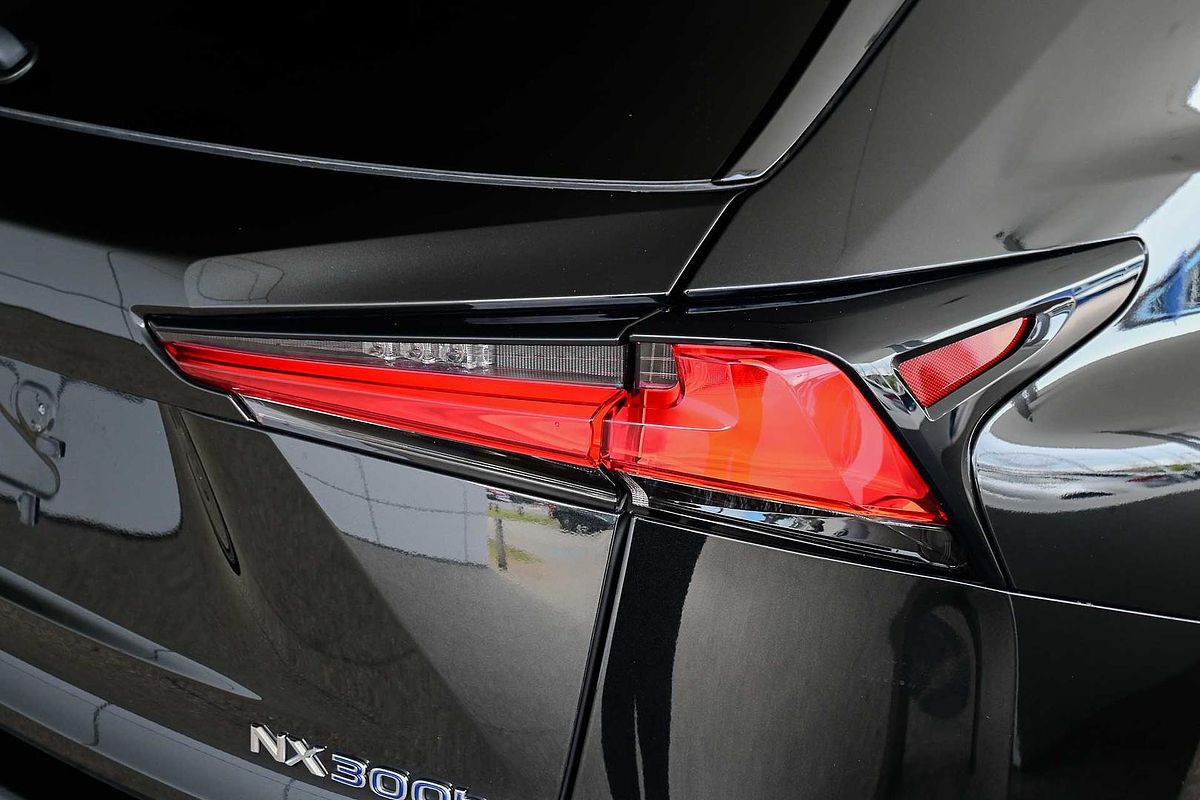 2020 Lexus NX NX300h F Sport AYZ10R