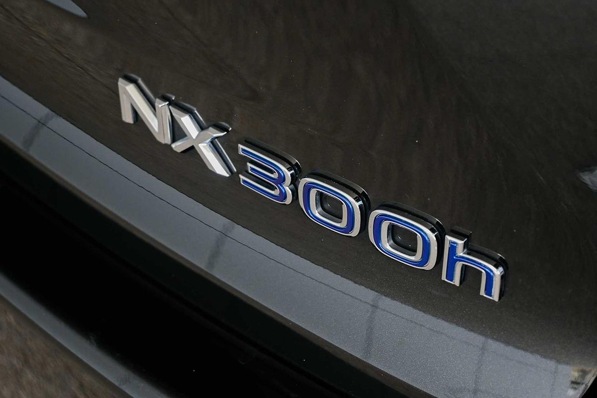 2020 Lexus NX NX300h F Sport AYZ10R
