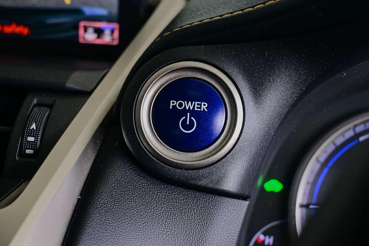 2020 Lexus NX NX300h F Sport AYZ10R