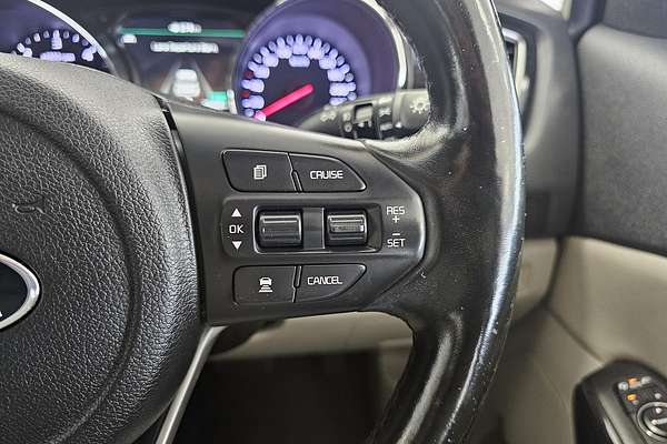 2019 Kia Carnival Platinum YP