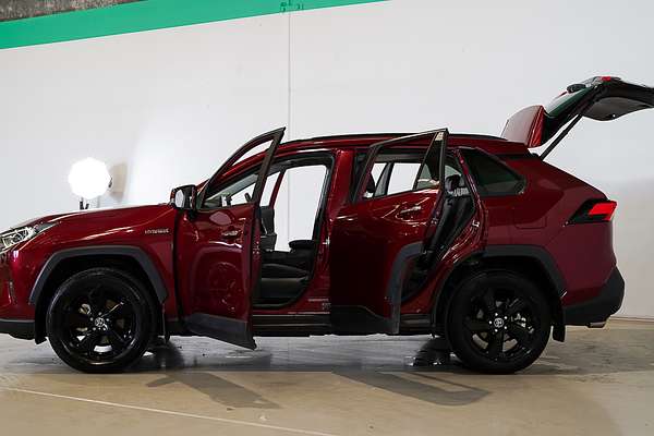 2021 Toyota RAV4 Cruiser AXAH54R