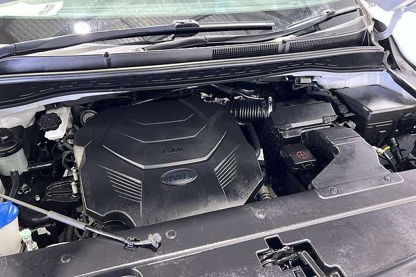 2019 Kia Carnival Platinum YP