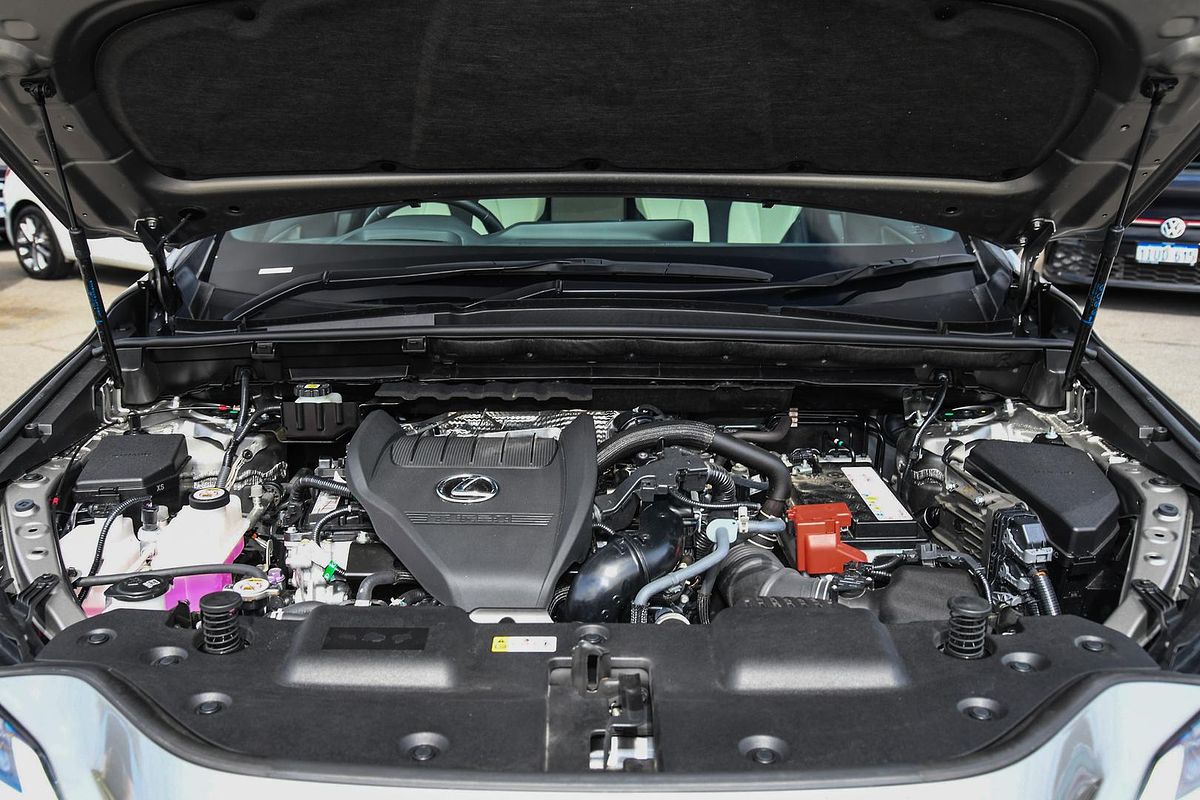 2022 Lexus NX NX350 F Sport TAZA25R