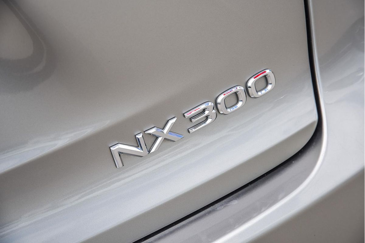 2019 Lexus NX NX300 Sports Luxury AGZ15R