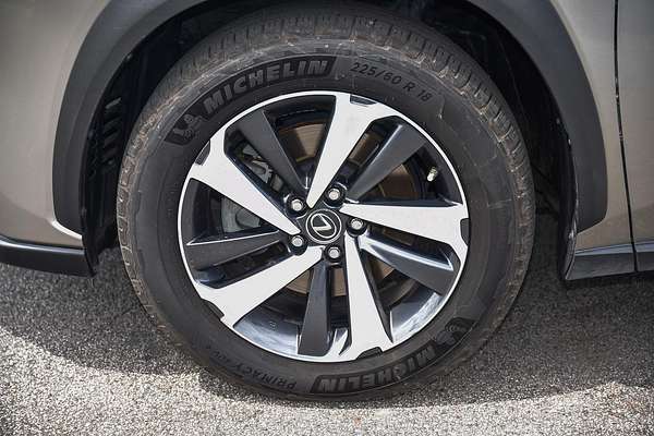 2019 Lexus NX NX300 Sports Luxury AGZ15R