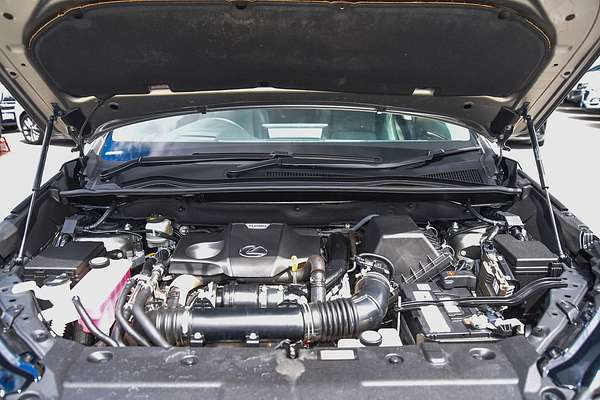 2019 Lexus NX NX300 Sports Luxury AGZ15R