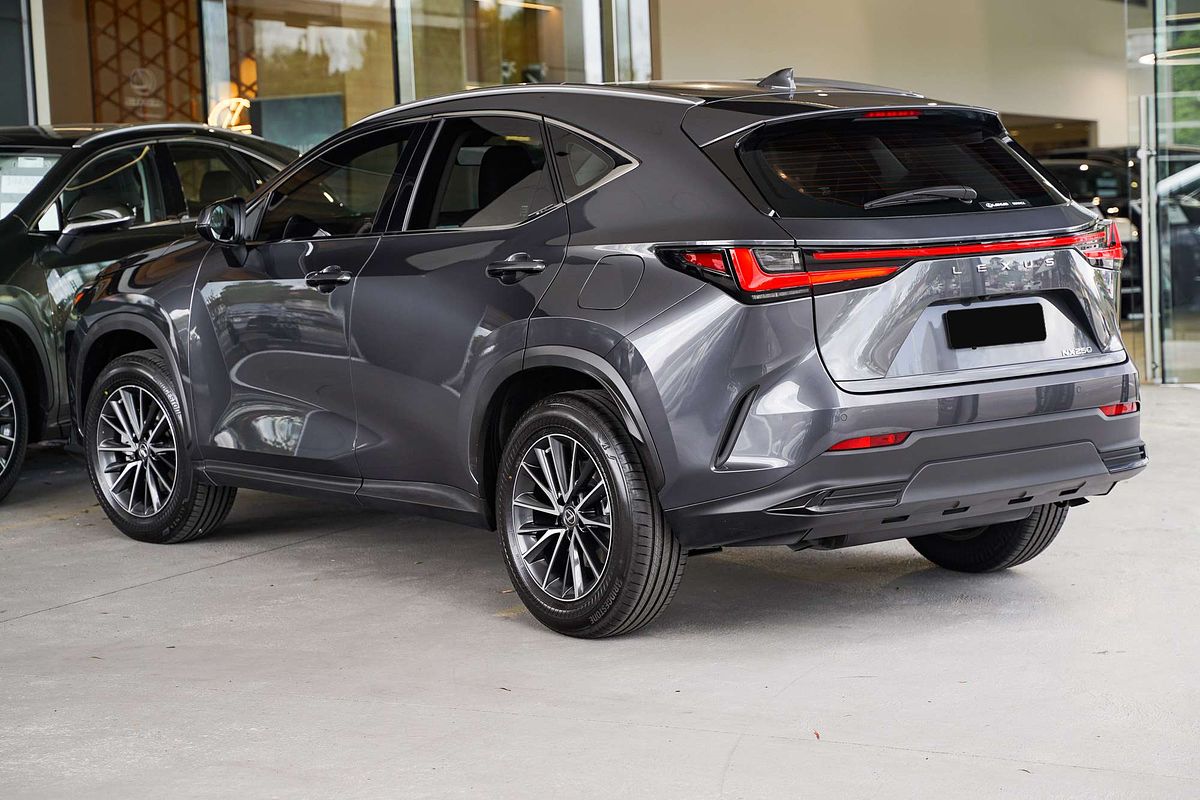 2022 Lexus NX NX250 AAZA20R