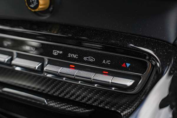 2019 Mercedes-Benz AMG GT R C190