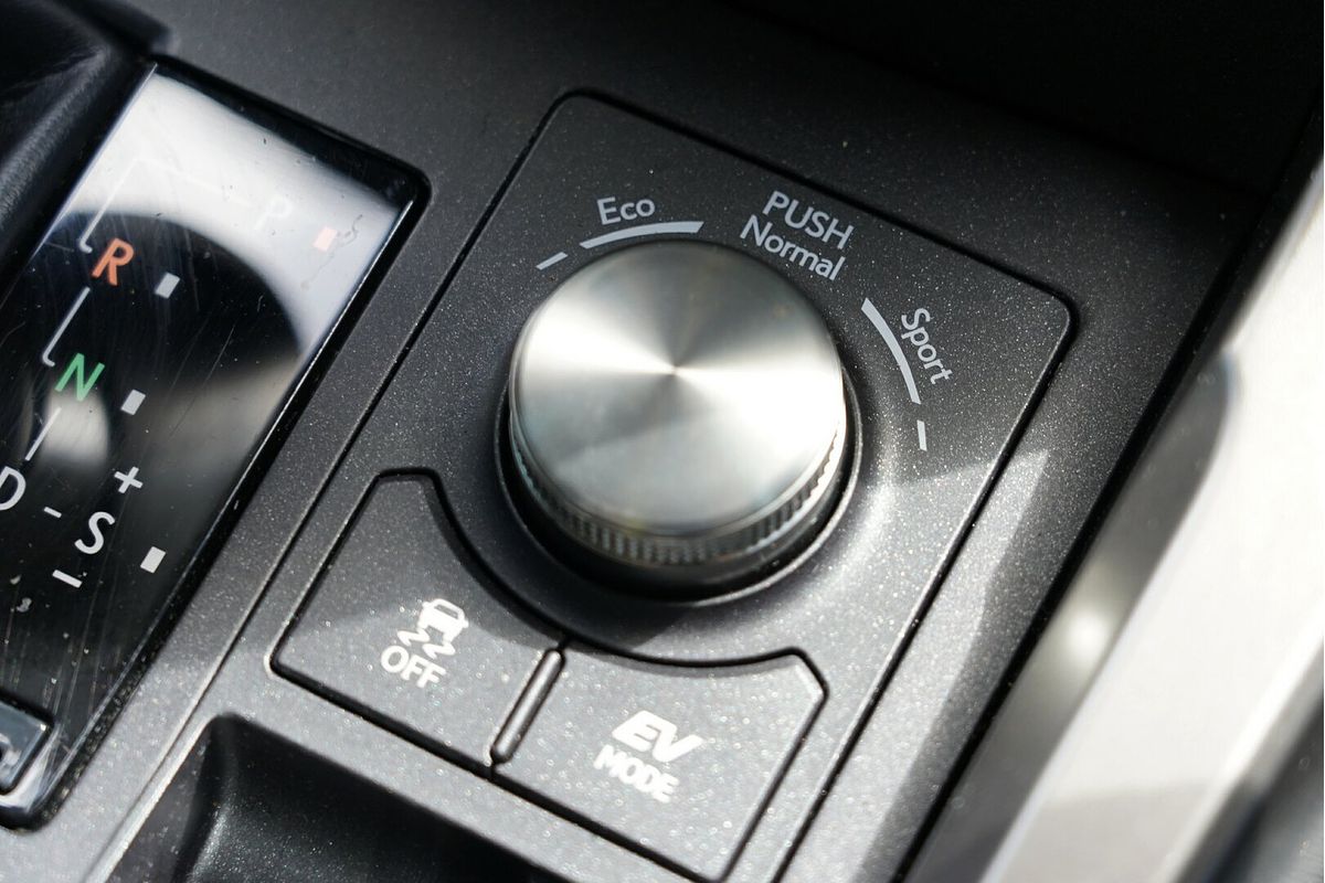 2020 Lexus NX NX300h Luxury AYZ15R