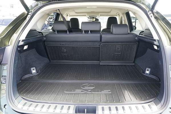 2020 Lexus NX NX300h Luxury AYZ15R