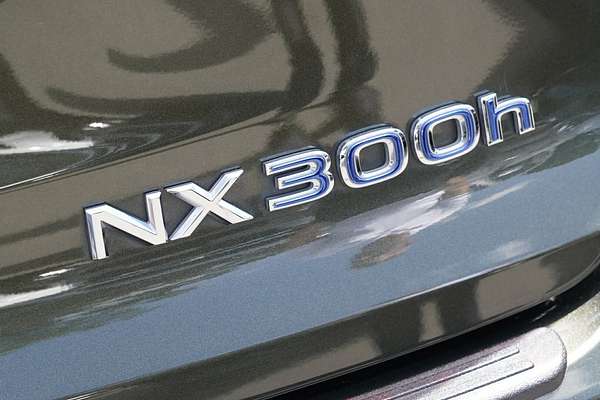 2020 Lexus NX NX300h Luxury AYZ15R