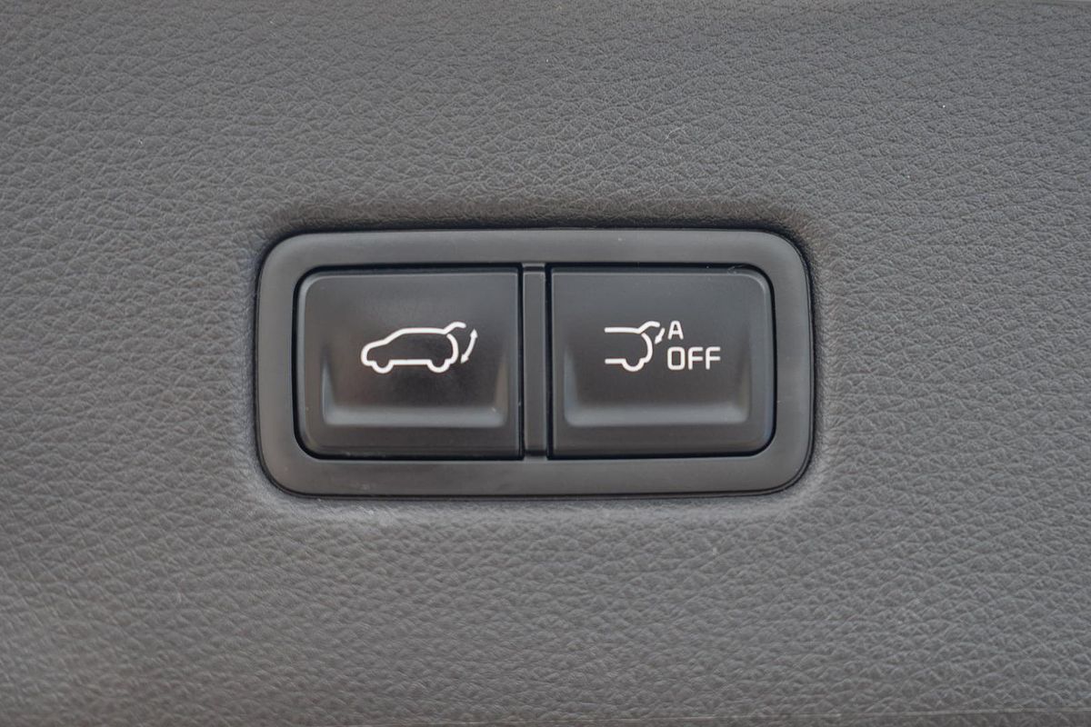 2020 Kia Carnival Platinum KA4