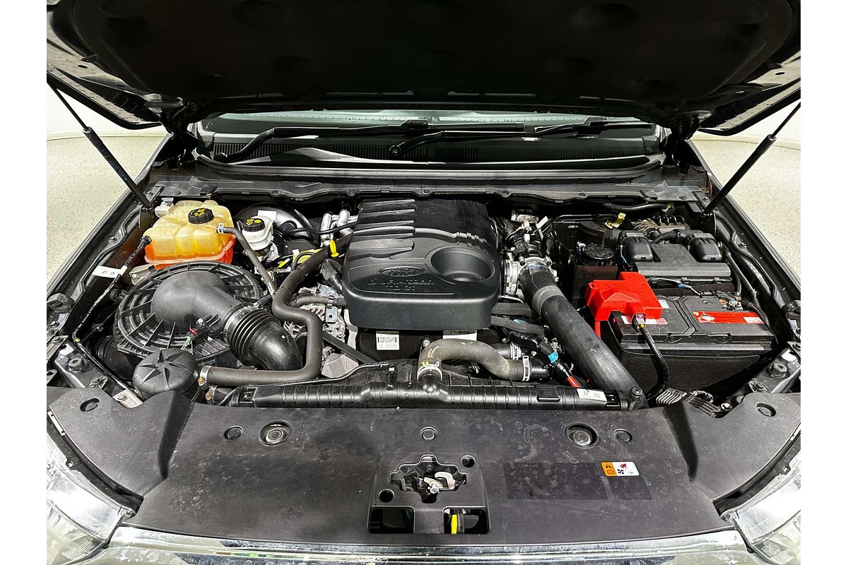 2019 Ford Ranger XLT PX MkIII 4X4 3.2L