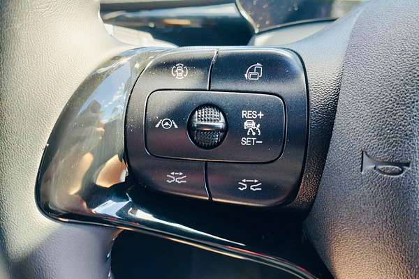 2025 BYD Dolphin Premium