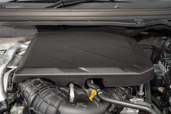 2025 LDV Terron 9 Origin EKK1C 4X4