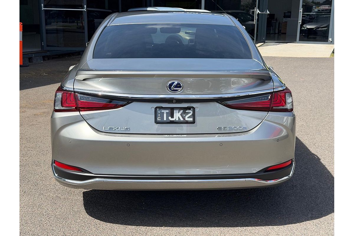 2021 Lexus ES ES300h Sports Luxury AXZH10R