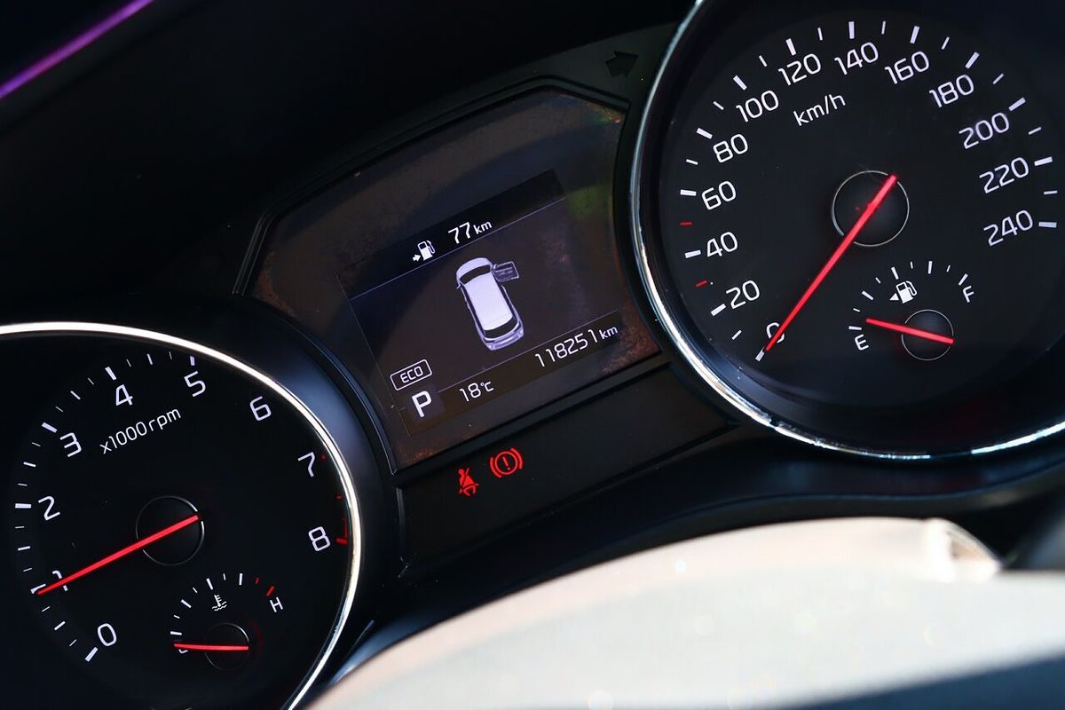 2019 Kia Carnival S YP