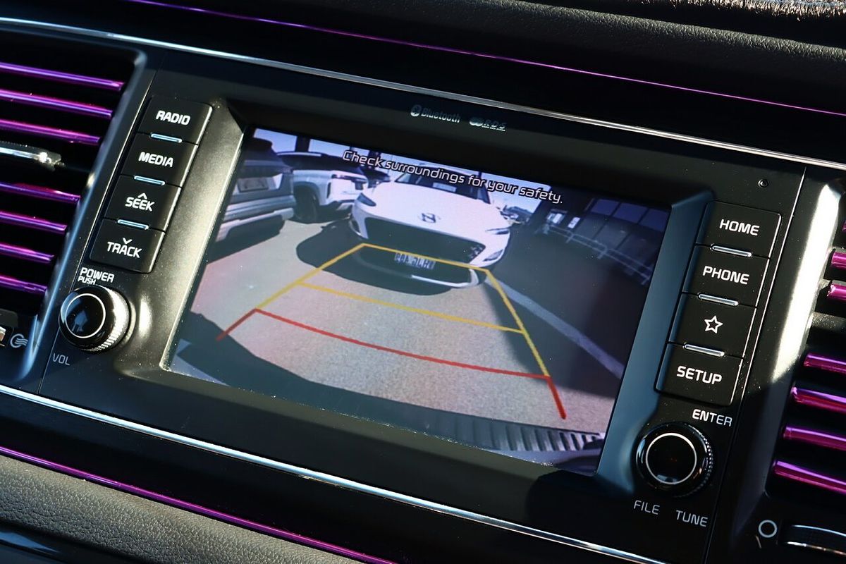 2019 Kia Carnival S YP