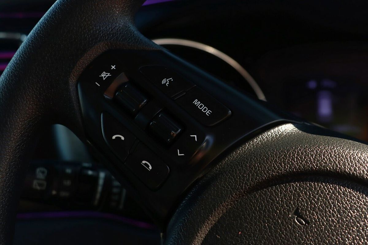 2019 Kia Carnival S YP