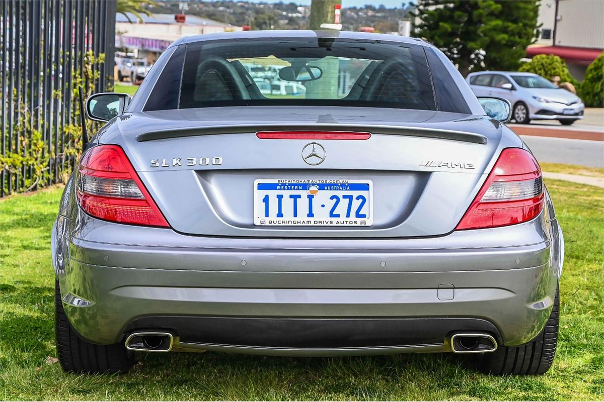 2010 Mercedes-Benz SLK-Class SLK300 R171