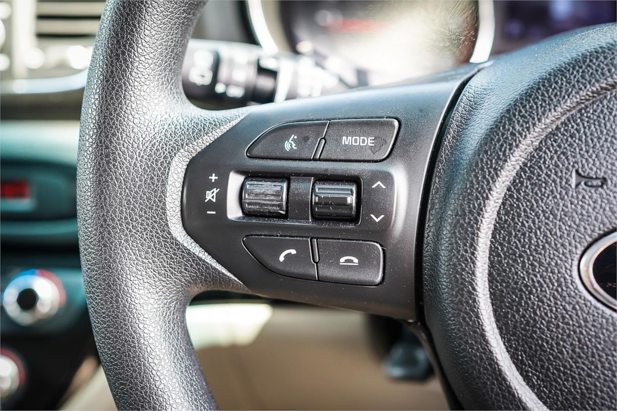 2019 Kia Carnival S YP