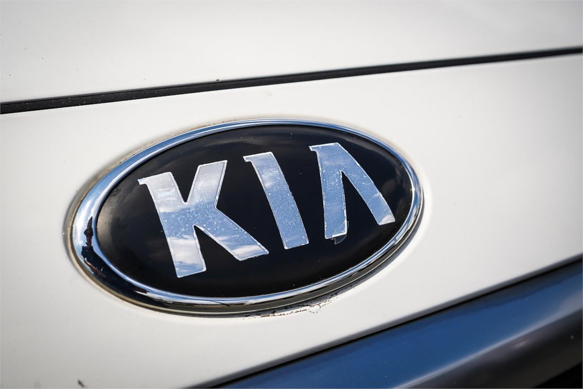 2019 Kia Carnival S YP