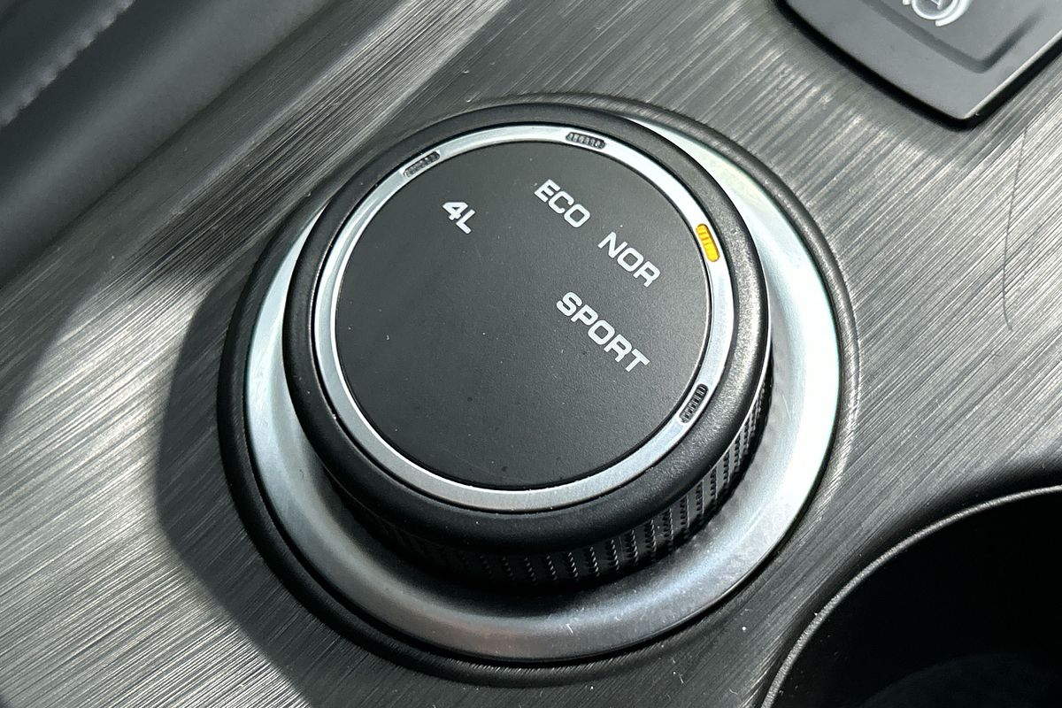 2022 GWM Ute Cannon NPW 4X4