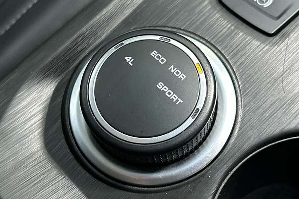 2022 GWM Ute Cannon NPW 4X4