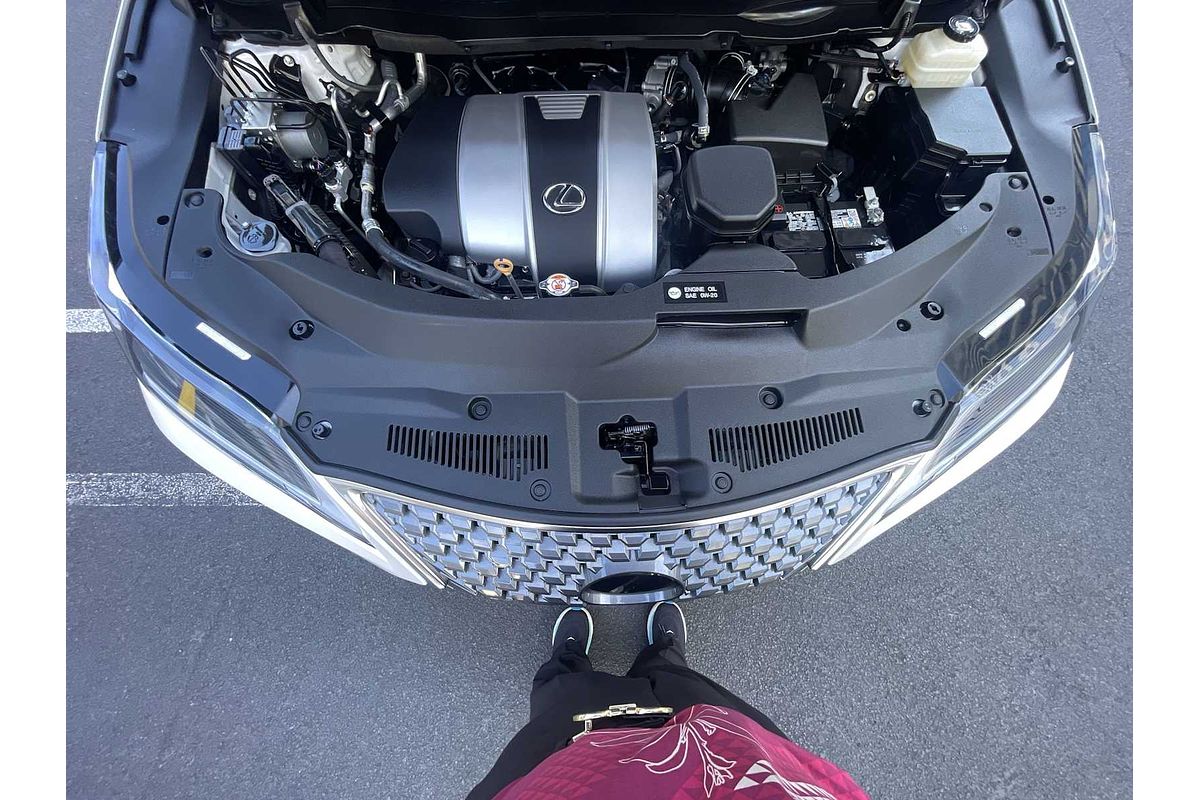 2022 Lexus RX