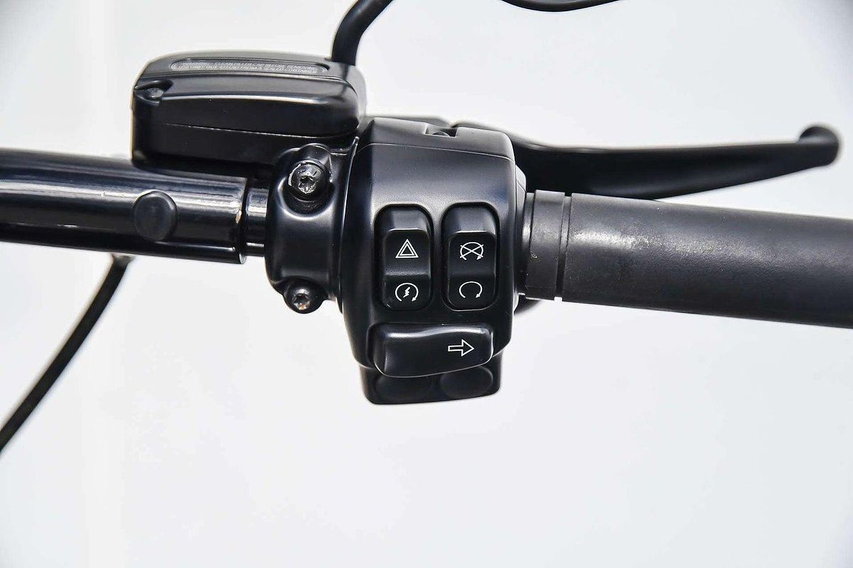 2019 Harley-Davidson Road King Special 114 (FLHRXS) Touring