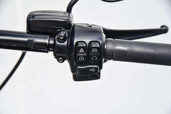 2019 Harley-Davidson Road King Special 114 (FLHRXS) Touring