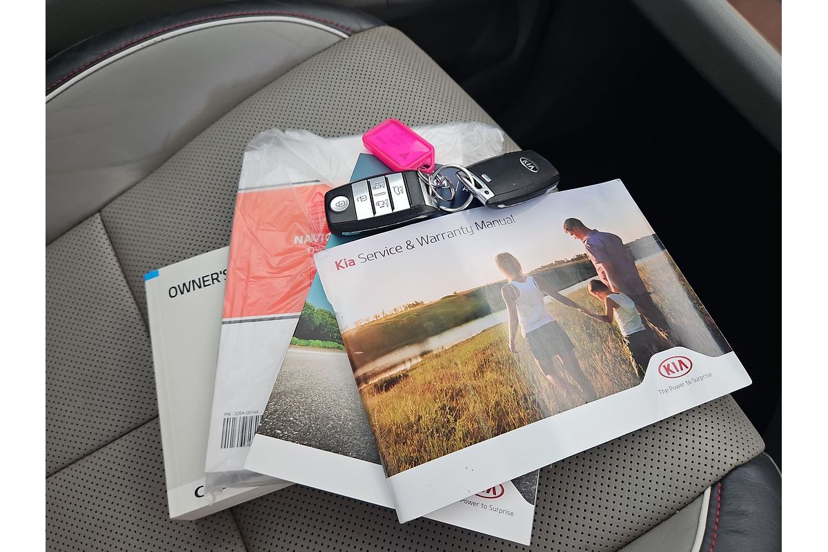 2017 Kia Carnival Platinum YP