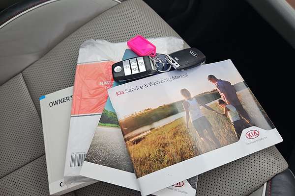 2017 Kia Carnival Platinum YP