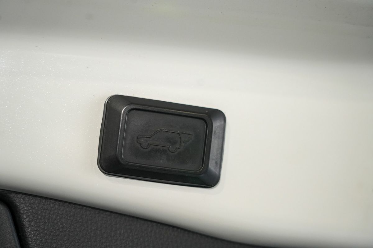 2020 Toyota RAV4 Cruiser AXAH52R