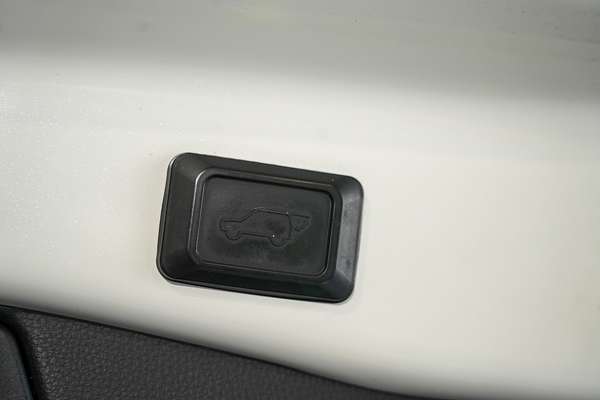 2020 Toyota RAV4 Cruiser AXAH52R