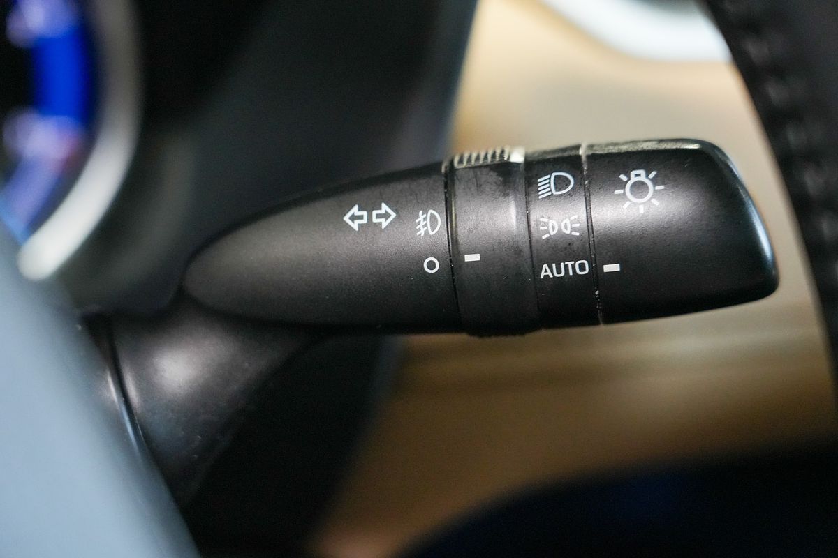 2020 Toyota RAV4 Cruiser AXAH52R