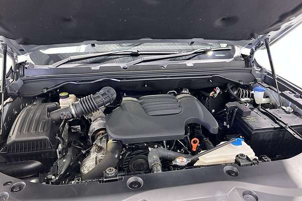 2022 GWM Ute Cannon-X NPW 4X4